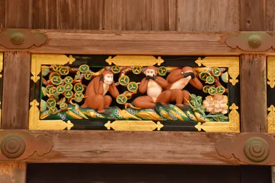 DSC_3857 (Large).JPG